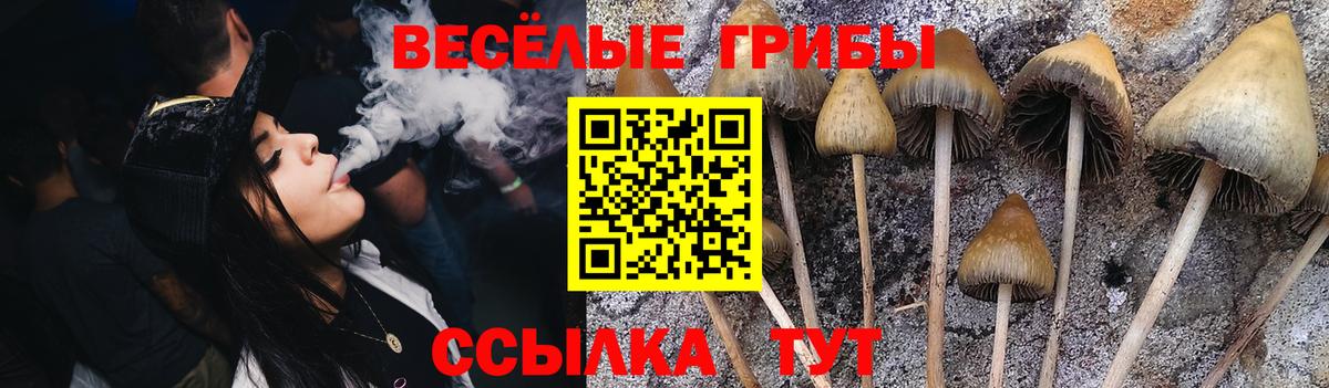 Галлюциногенные грибы мицелий  закладки  Псилоцибиновые грибы MAGIC MUSHROOMS  Выкса  Вход с VPN 